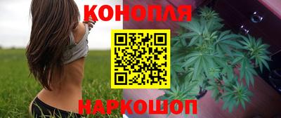 кокс Кингисепп