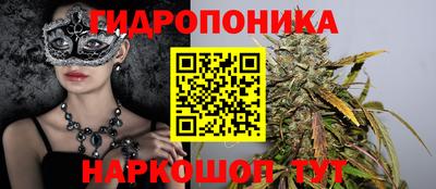 ALPHA PVP Кимры