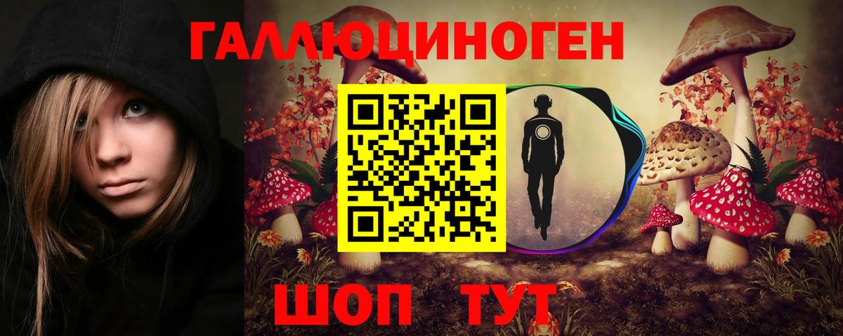 Новомосковск  Псилоцибиновые грибы GOLDEN TEACHER  Вход с VPN  Галлюциногенные грибы прущие грибы 